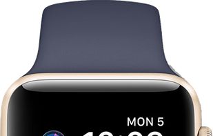 Siri in an Apple Watch.