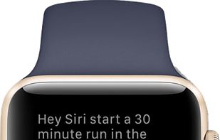 Siri in an Apple Watch. 