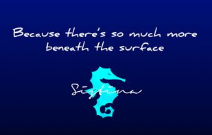 Sistina screenshot 1