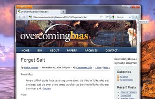 Site Searcher screenshot 1