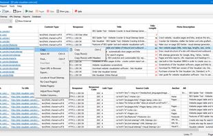 Pages and links of a website