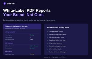White-label PDF reports — sent automatically under your agency brand