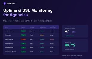 Uptime & SSL monitoring dashboard — track all client sites in one place