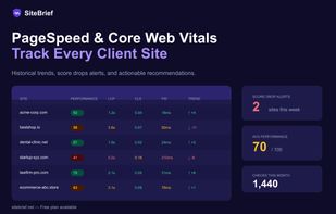 PageSpeed & Core Web Vitals tracking with score drop alerts