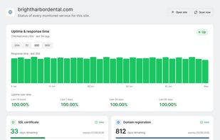 Uptime and response time, SSL and domain expiry, Lighthouse scores, visual changes, and broken assets for a single client site, all on one page.