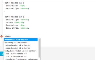 SiteOrigin CSS screenshot 1