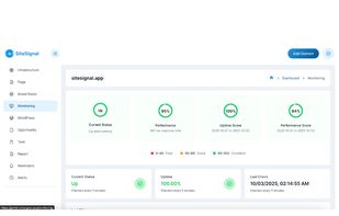 Real-Time Uptime & SSL Monitor