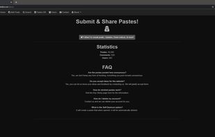 SkidBin About Section 