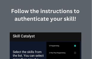 Skill Catalyst screenshot 1