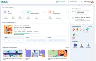 Learner Dashboard of Skill Lake
