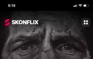 Skonflix screenshot 1
