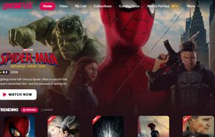 Skonflix screenshot 1