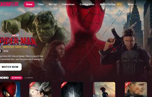 Skonflix screenshot 1