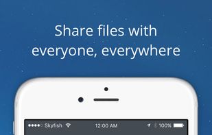 Skyfish screenshot 1