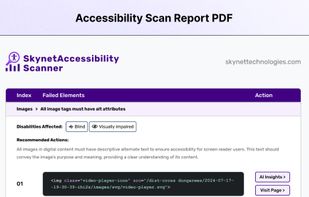 SkynetAccessibility Scanner screenshot 3