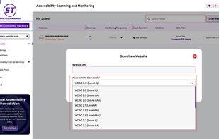 Skynet Accessibility Scanning&Monitoring screenshot 1