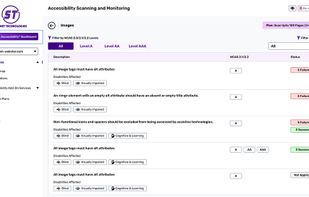 Skynet Accessibility Scanning&Monitoring screenshot 3