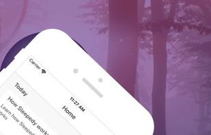 Sleepedy screenshot 1