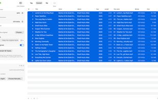 Convert mode: MP3, AAC, ALAC, FLAC, Opus, Vorbis, WAV or AIFF — tags and cover come along