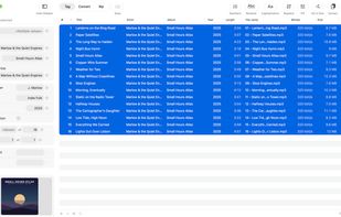Tag mode: a whole album selected, shared tags in the inspector, <Multiple values> for the titles