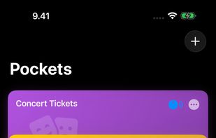 iPhone pocket list view