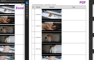 PDF and Excel storyboard output