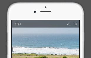 Full size photo view and download