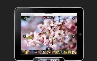 SlideShowPro Director screenshot 3