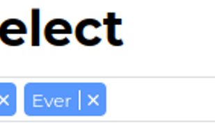 Slim Select 2.0 screenshot 1