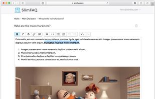 SlimFAQ screenshot 1