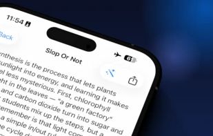 Slop or Not screenshot 1