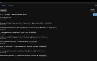 Playlist download and sync on demand
