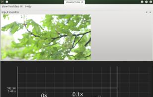 slowmoVideo screenshot 1