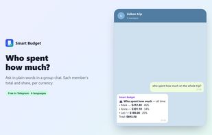 Who spent how much: each member's total and share in a trip chat