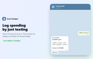 Logging spending by plain text in a family group chat