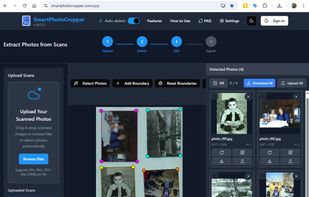 The Desktop version of the app, the detection happened already that take less than a second , you can see cropped result in right part f the screenshot