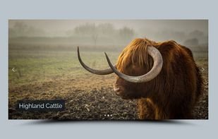 Smart Slider screenshot 1