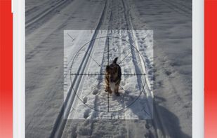 Smart Tools - All In One screenshot 1