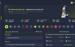 smm.ist screenshot 3