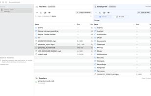 SmoothDroid in light mode with internal storage and SD card support.
