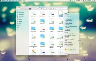 SnailSVN screenshot 1