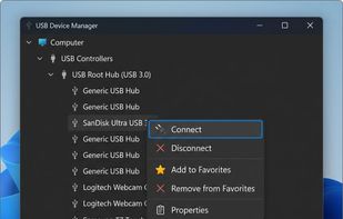 SnakeUsbIP screenshot 3