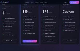 SnapAPI screenshot 2