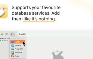 SnapDB App screenshot 1