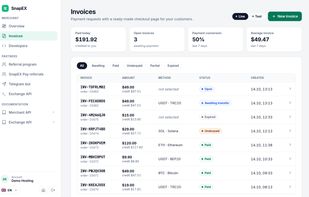 Merchant dashboard: list of invoices with amounts, networks and statuses