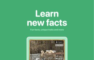 Snappit screenshot 2