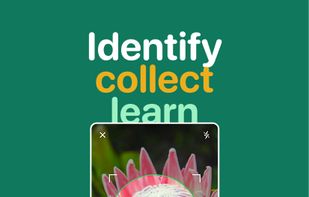 Snappit screenshot 1