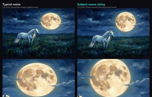Subject-aware sizing: each print size is fitted around your subject, whole artwork kept
