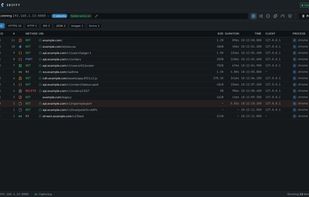 Traffic workbench with captured HTTP/HTTPS sessions and request details.