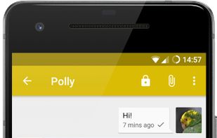 Snikket screenshot 1